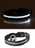 LED Safety Collar