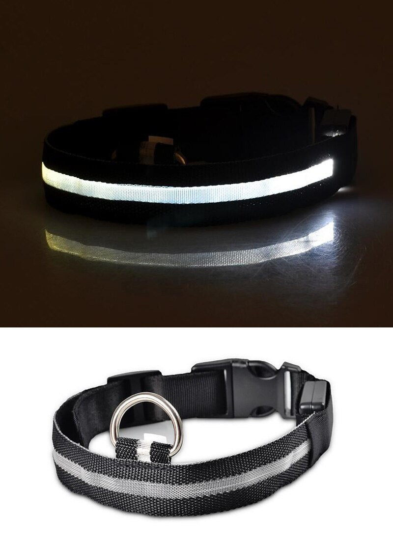 LED Safety Collar