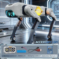 Robot Dog Toy