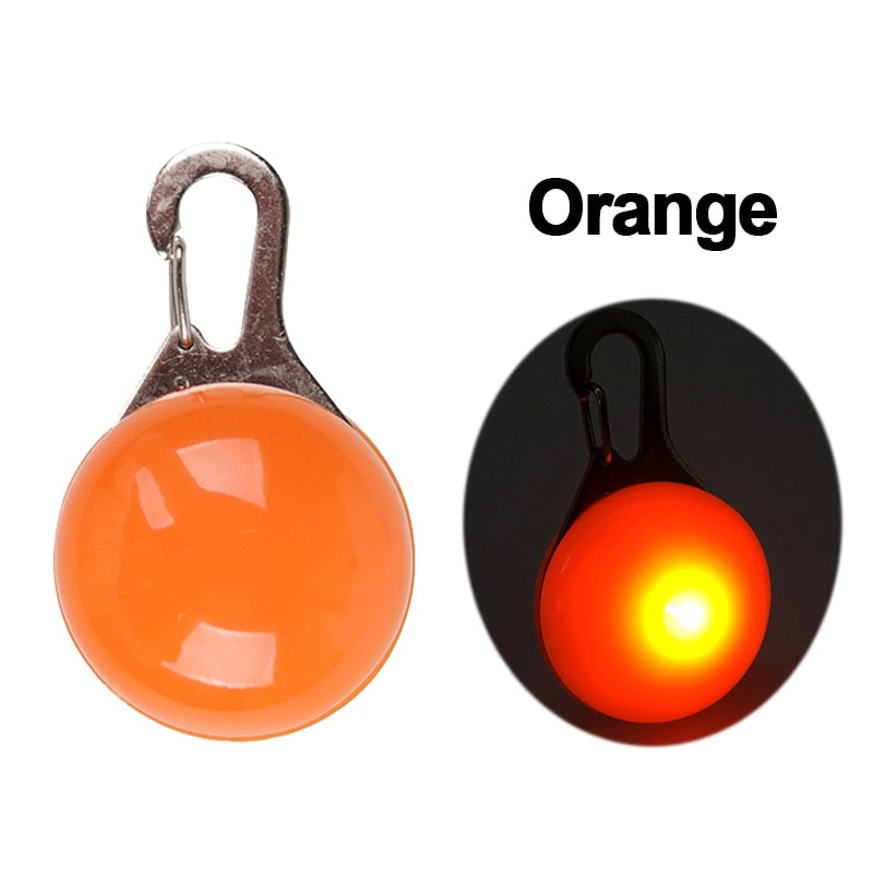 LED Safety Collar