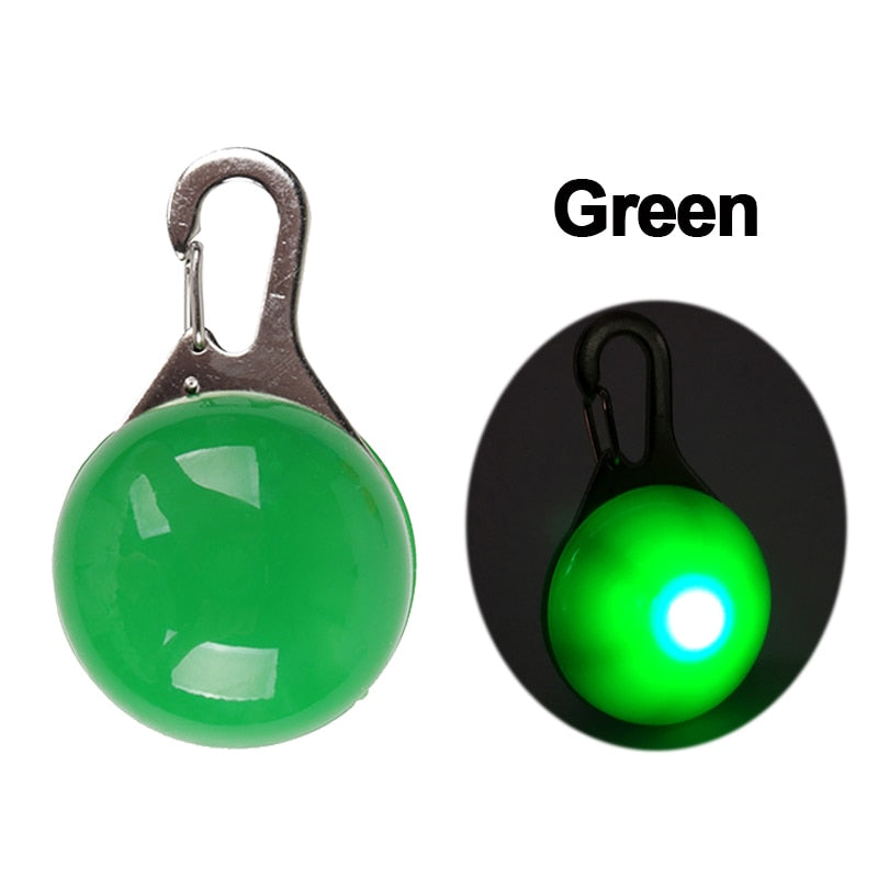 LED Safety Collar