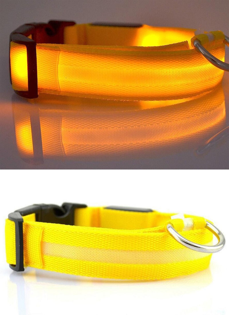 LED Safety Collar