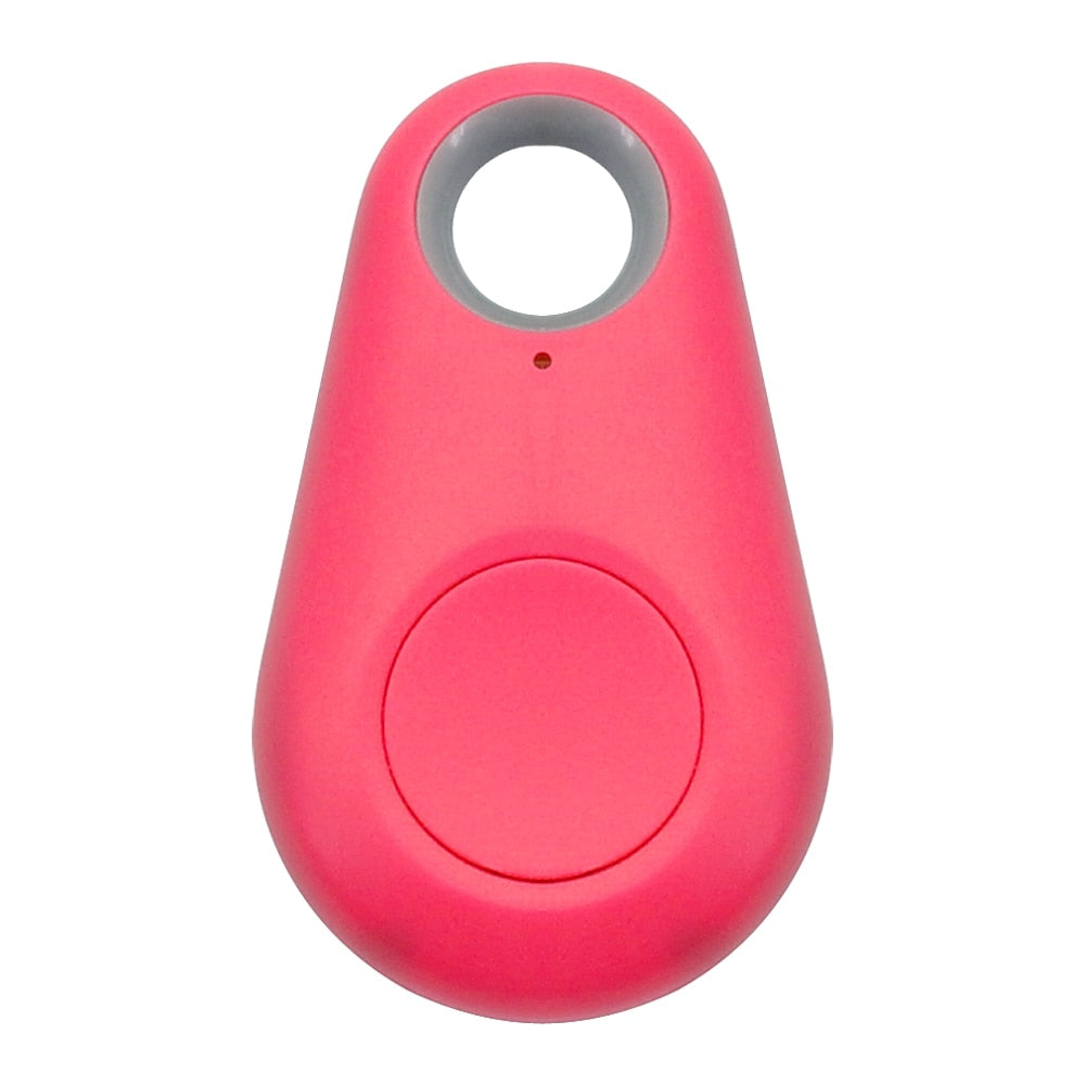 Bluetooth Pet Tag
