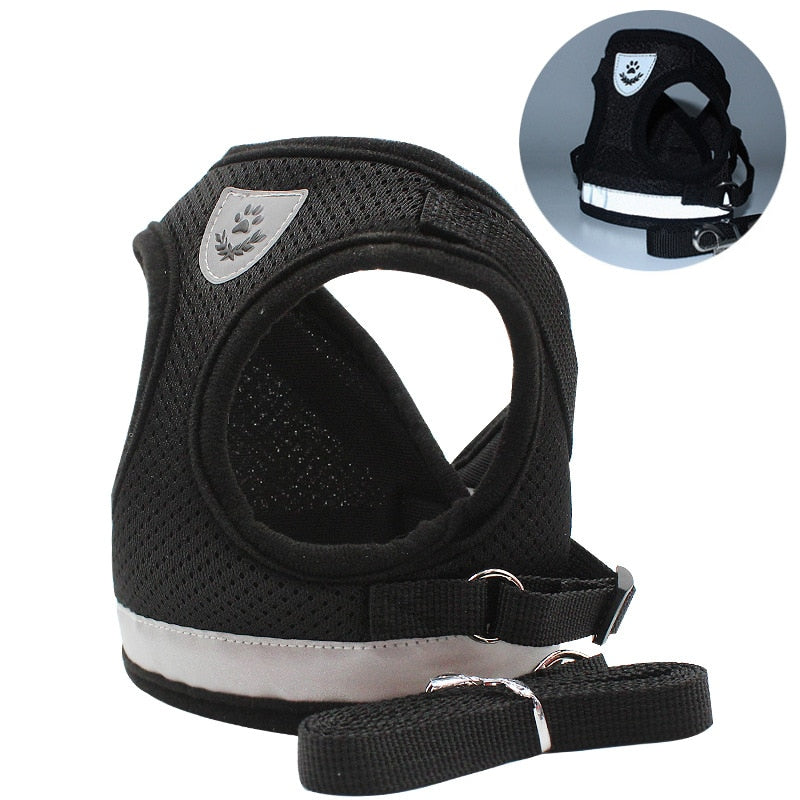 Reflective Mesh Harness