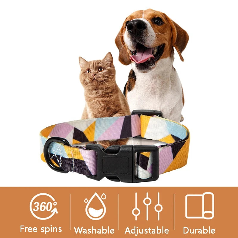 Collar and Leash Set