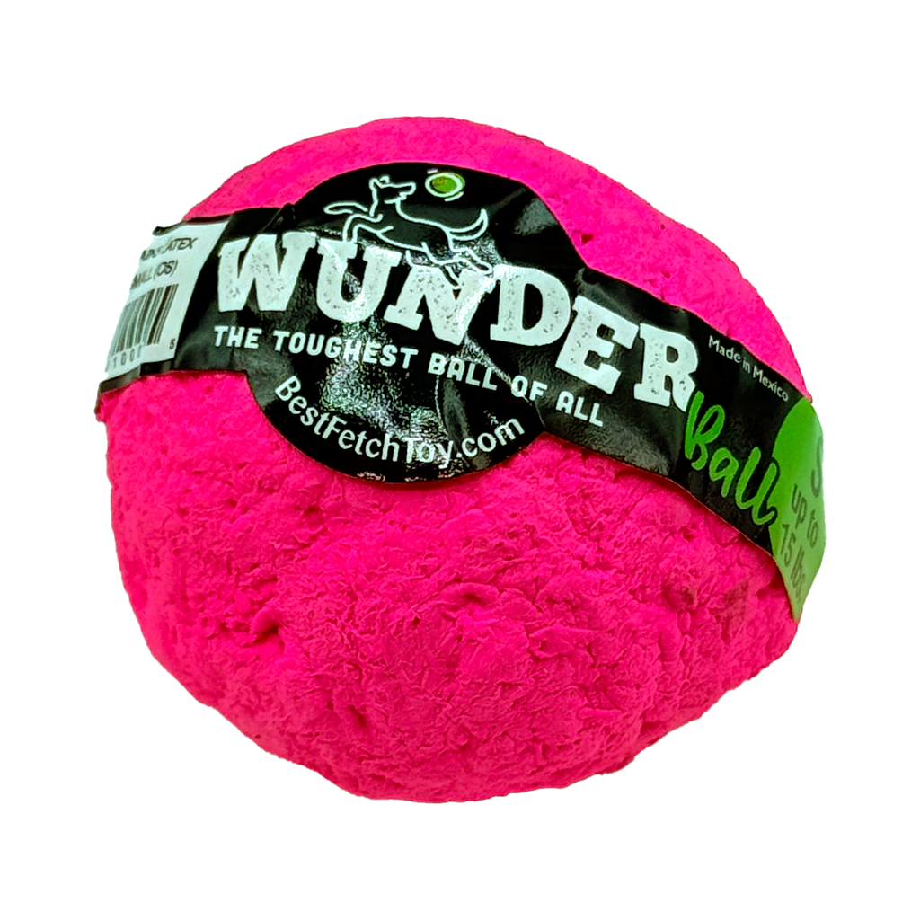 Wunderball Fetch Ball