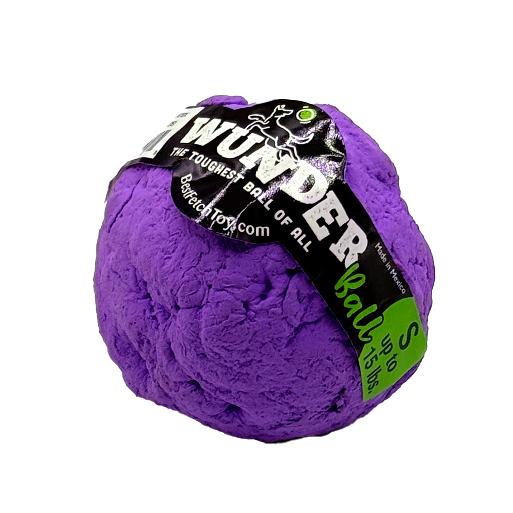 Wunderball Fetch Ball