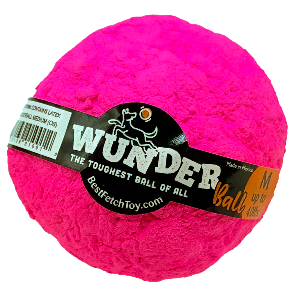 Wunderball Fetch Ball