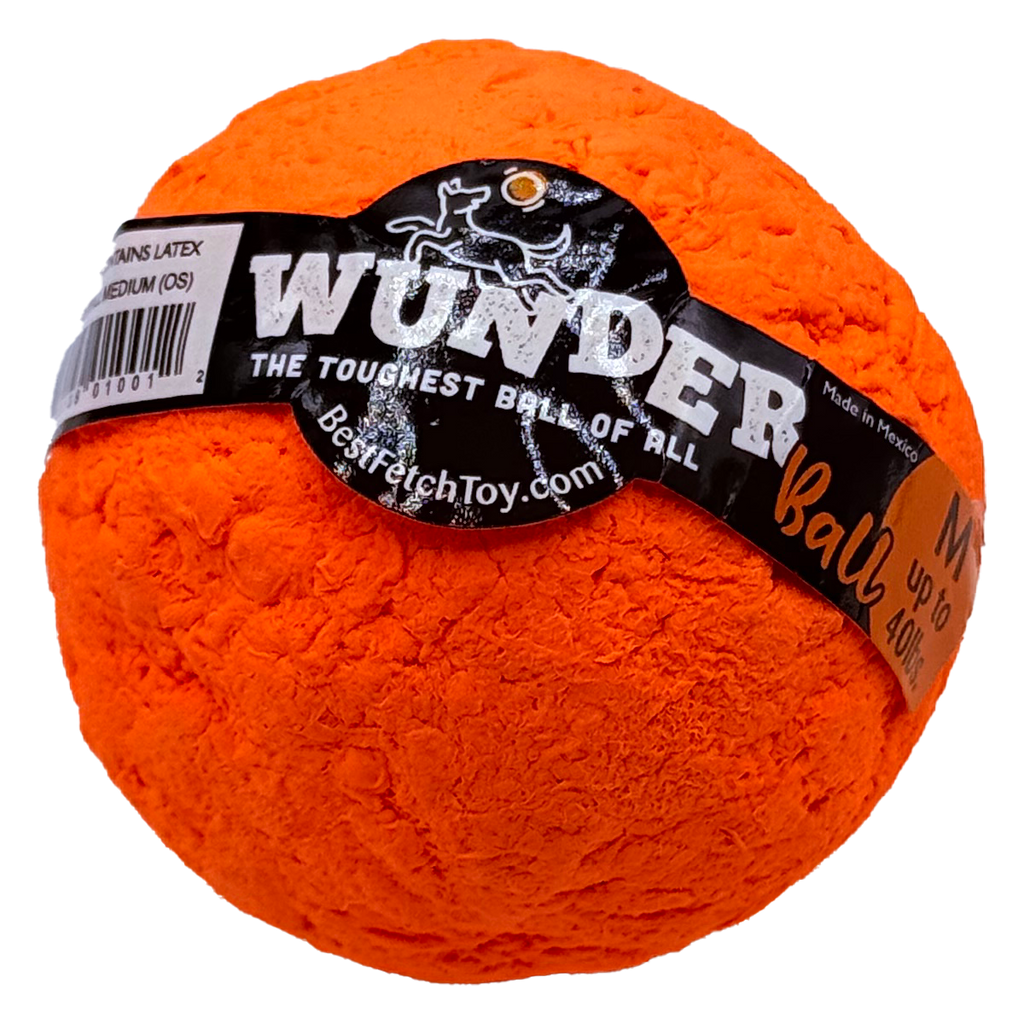Wunderball Fetch Ball