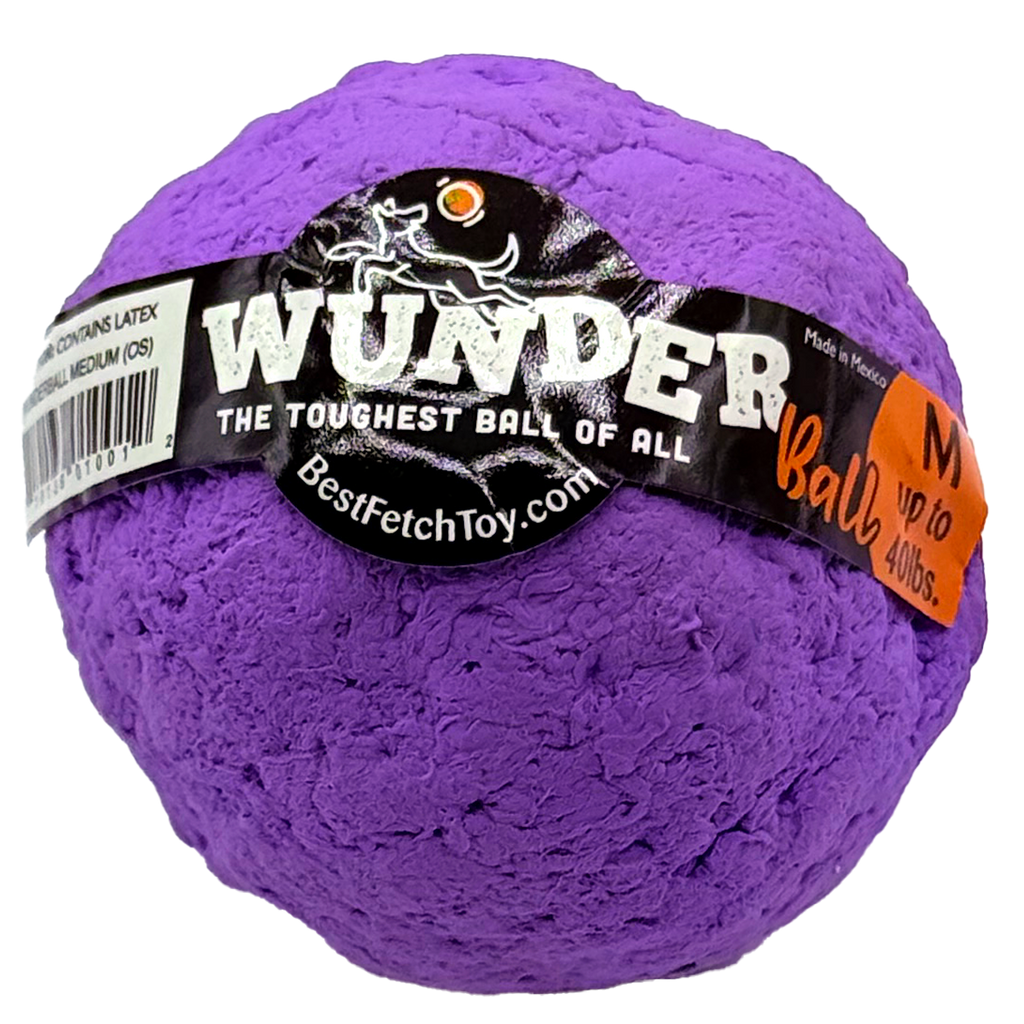 Wunderball Fetch Ball