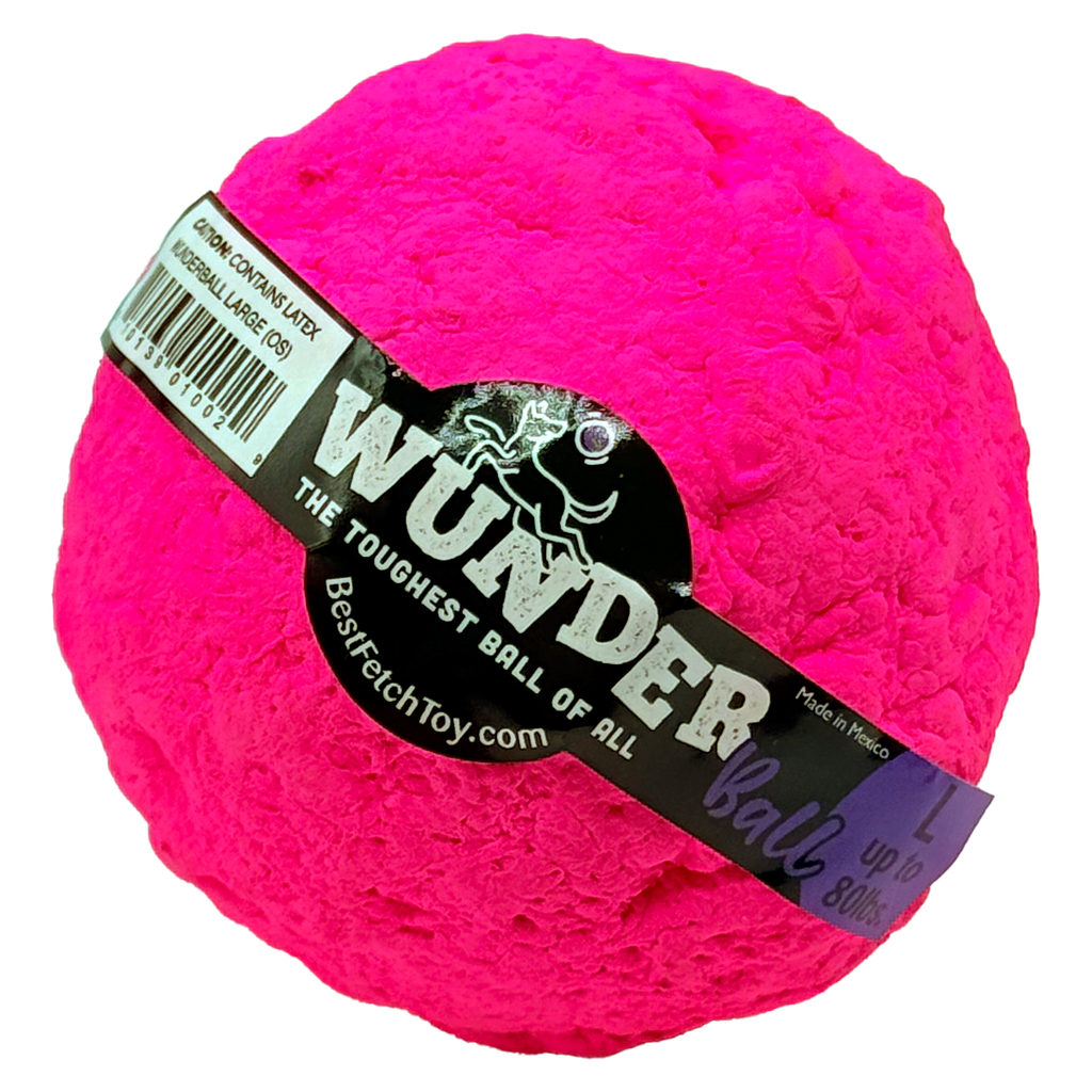Wunderball Fetch Ball