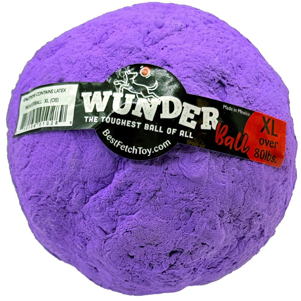 Wunderball Fetch Ball