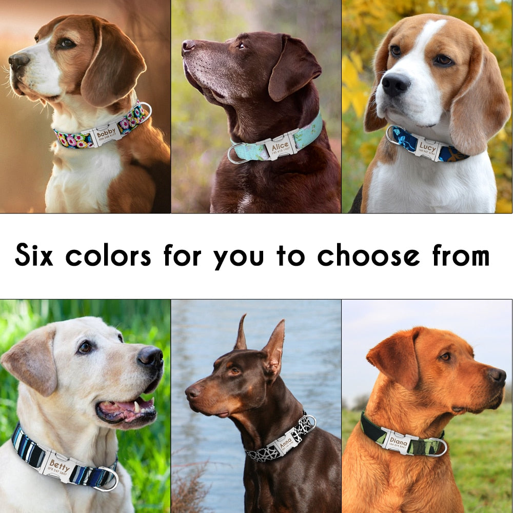Personalized Nylon Collar