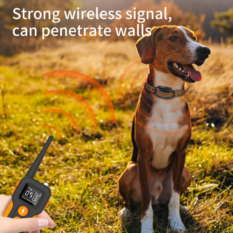 Remote Training Collar, Reflective