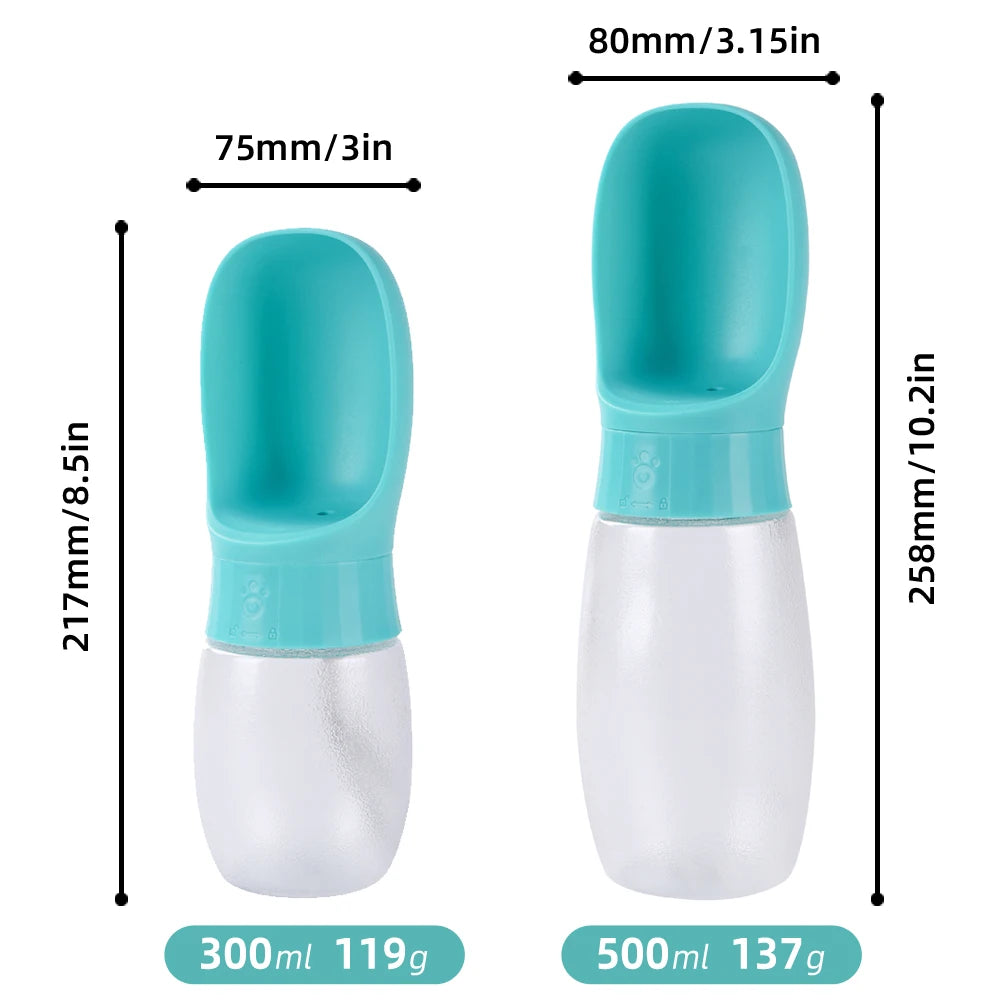 Travel Water Bottle