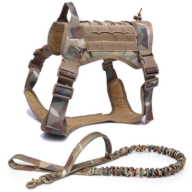 Harness and Leash Set