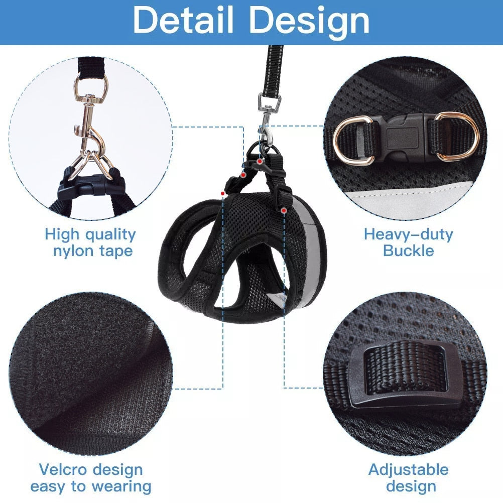Reflective Mesh Harness