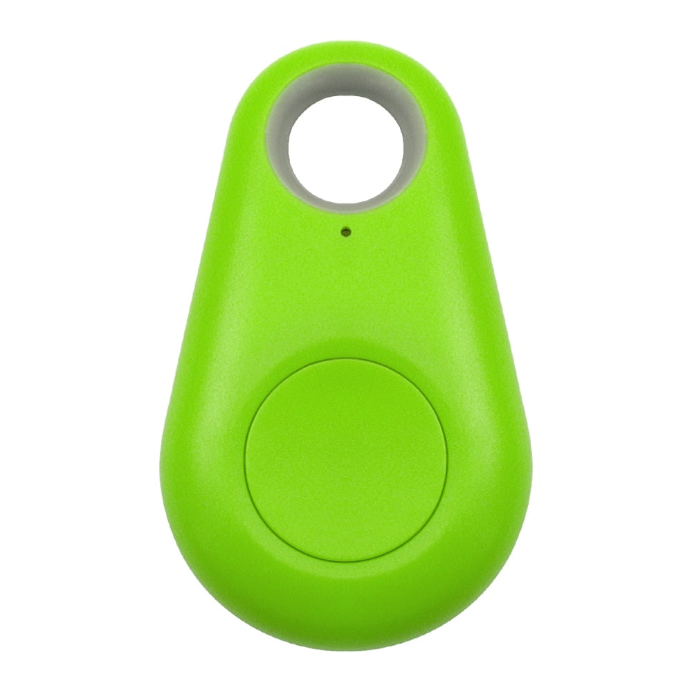 Bluetooth Pet Tag