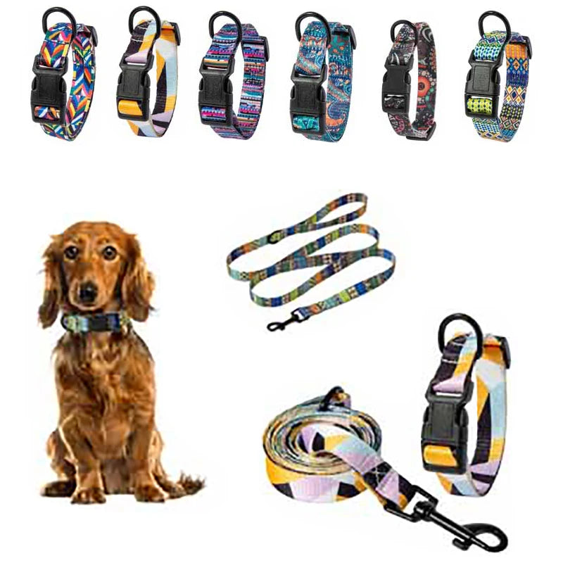Collar and Leash Set