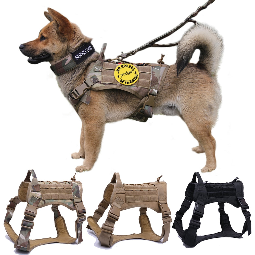 Harness and Leash Set