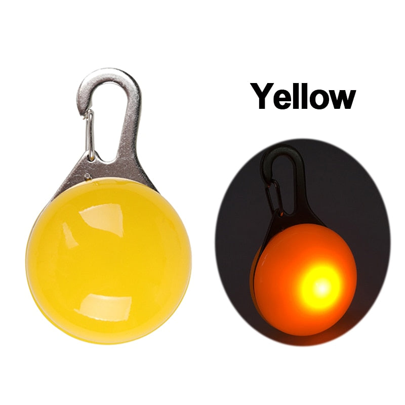 LED Safety Collar