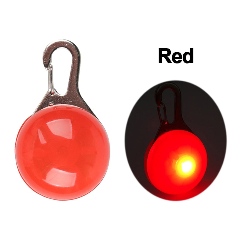 LED Safety Collar