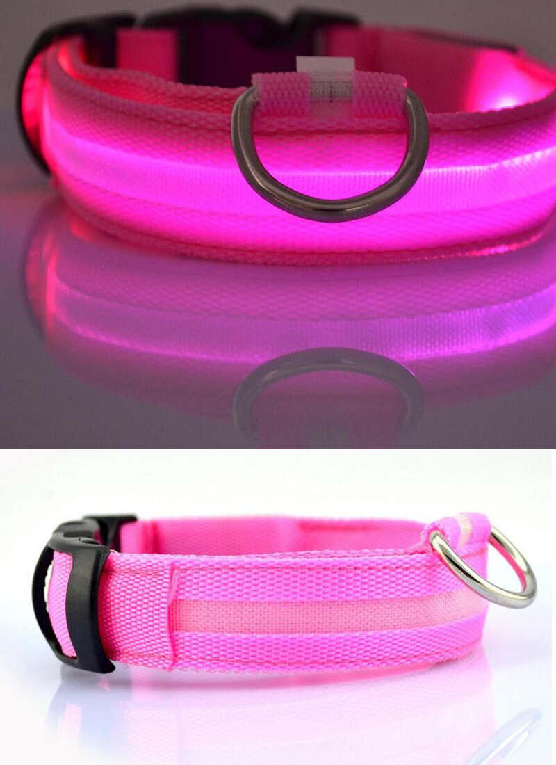 LED Safety Collar