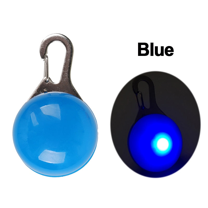 LED Safety Collar