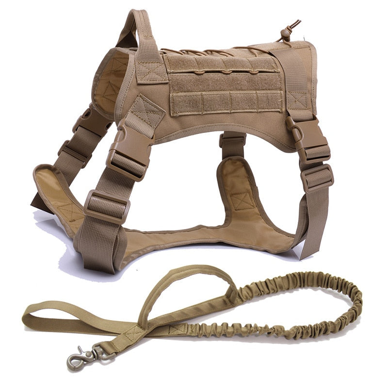 Harness and Leash Set