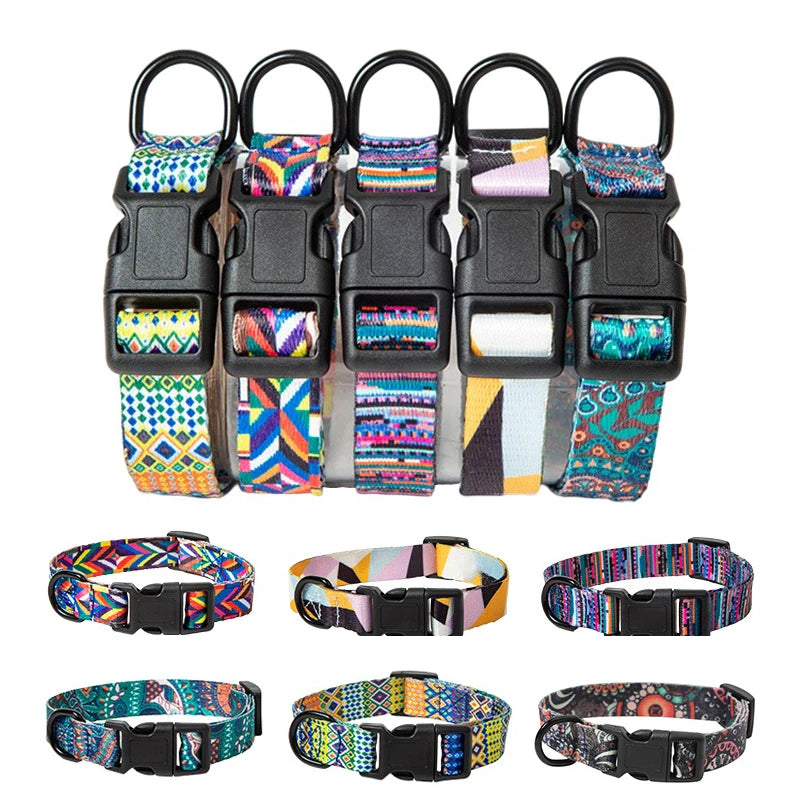Collar and Leash Set