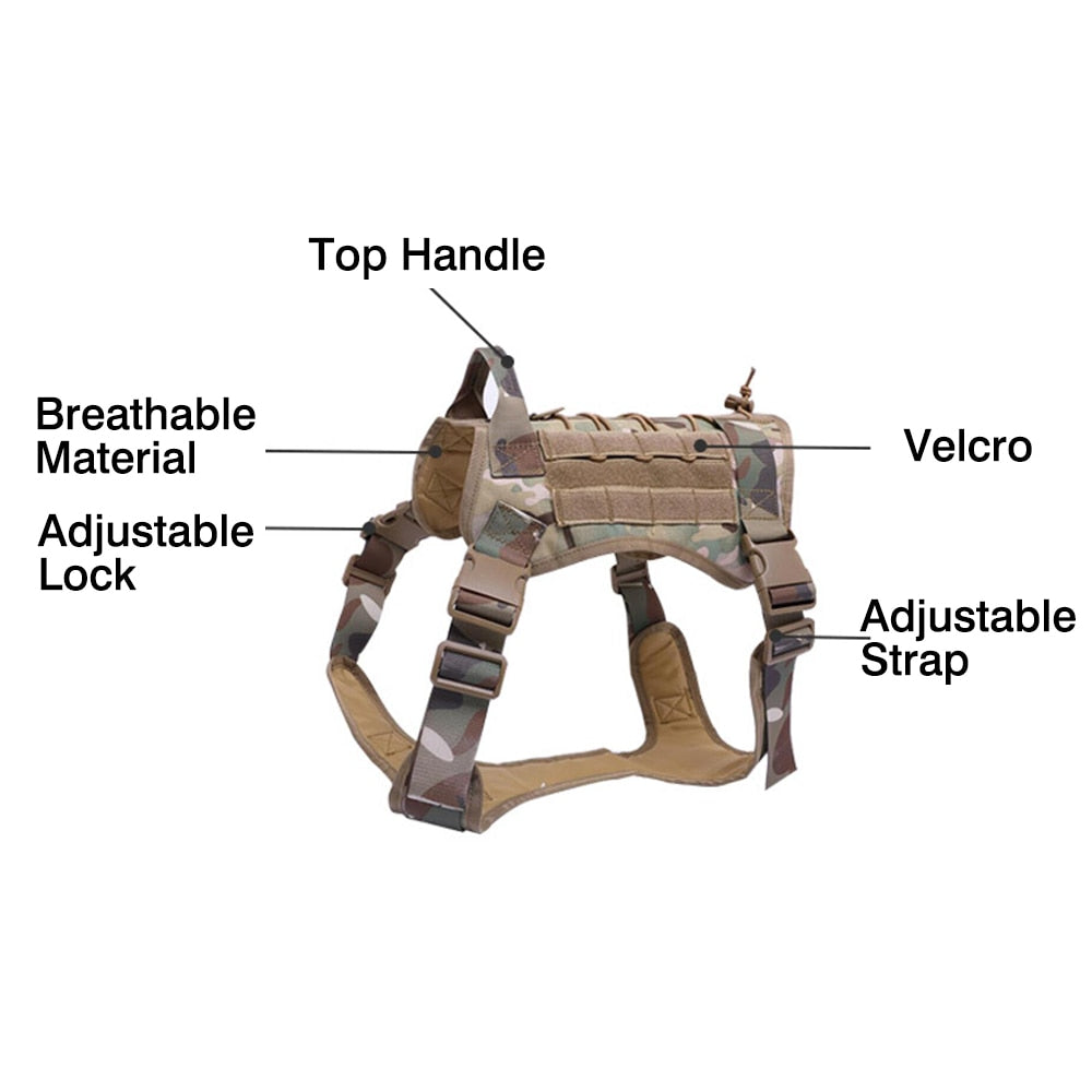 Harness and Leash Set