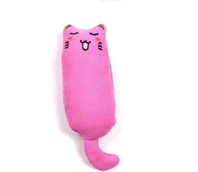 Catnip Plush Toy