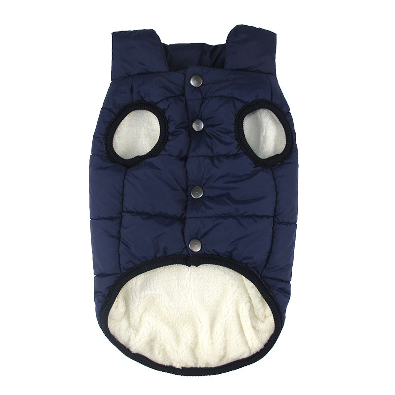 Winter Coat