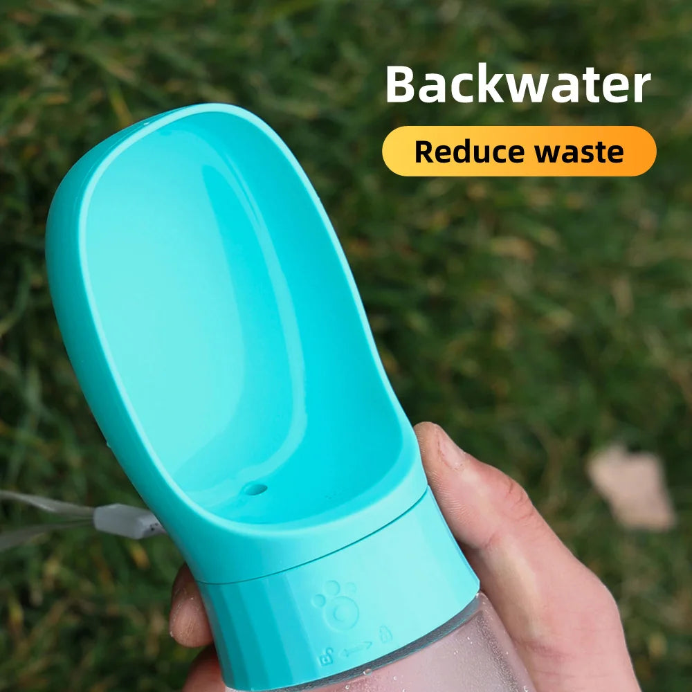 Travel Water Bottle