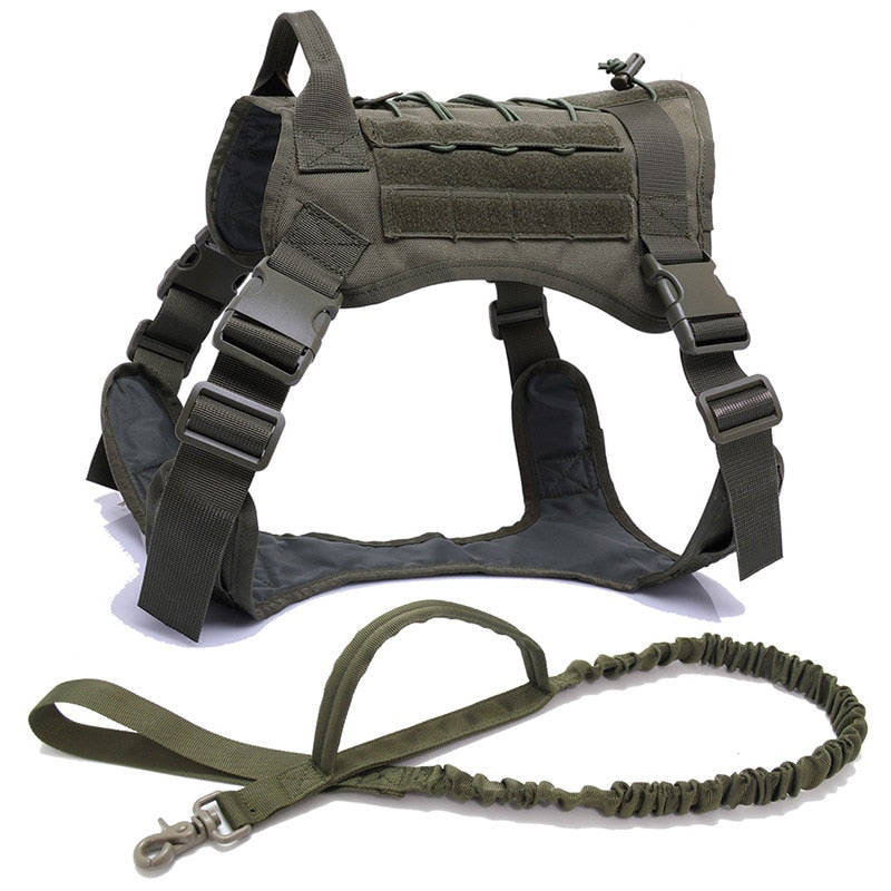 Harness and Leash Set