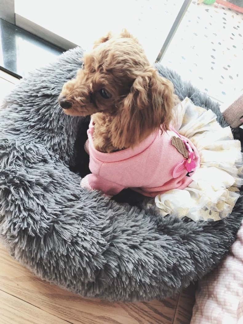 Fluffy Round Bed