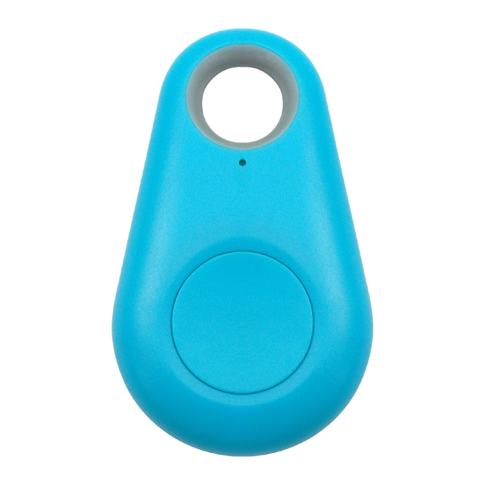 Bluetooth Pet Tag