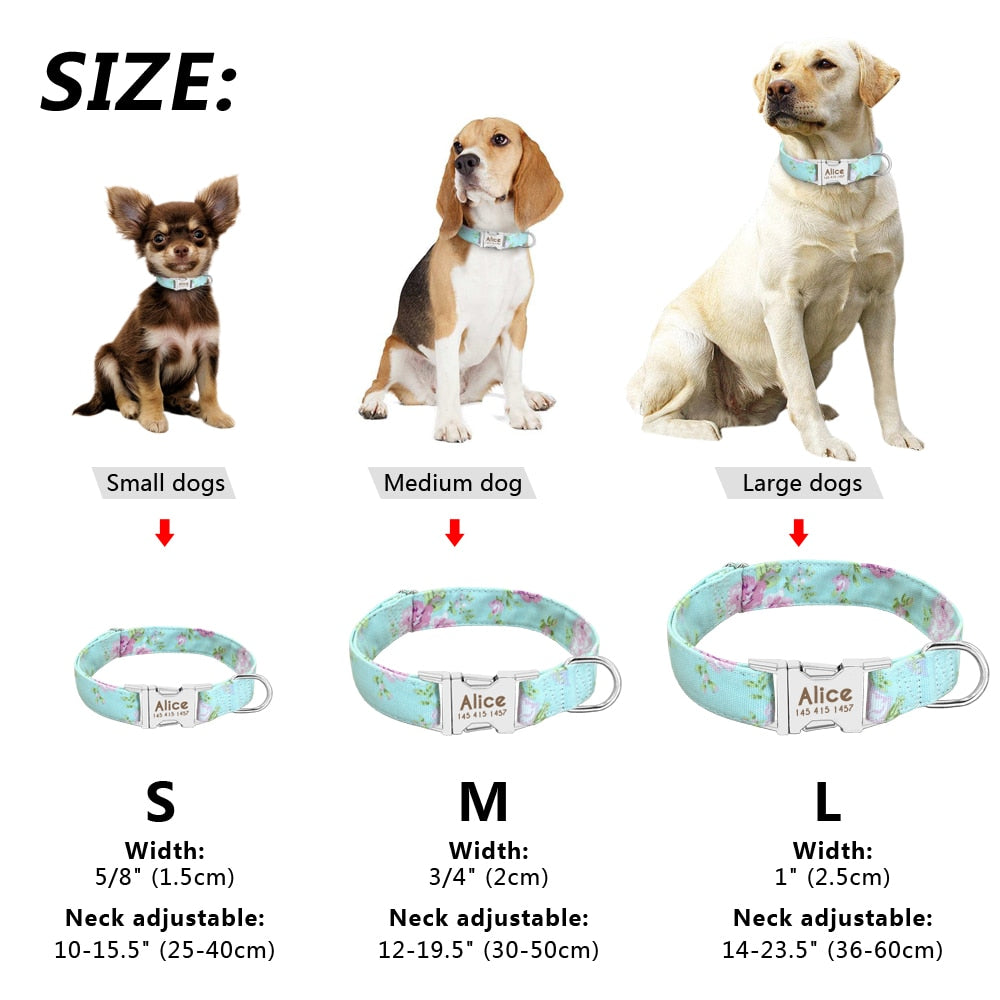 Personalized Nylon Collar