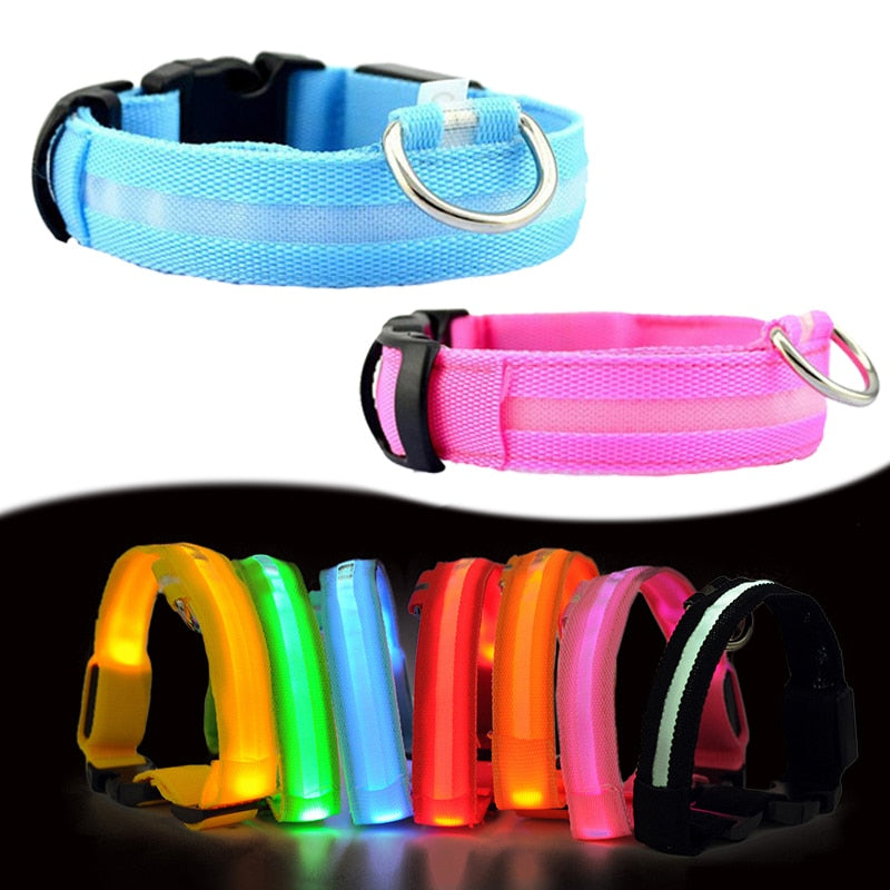 LED Safety Collar