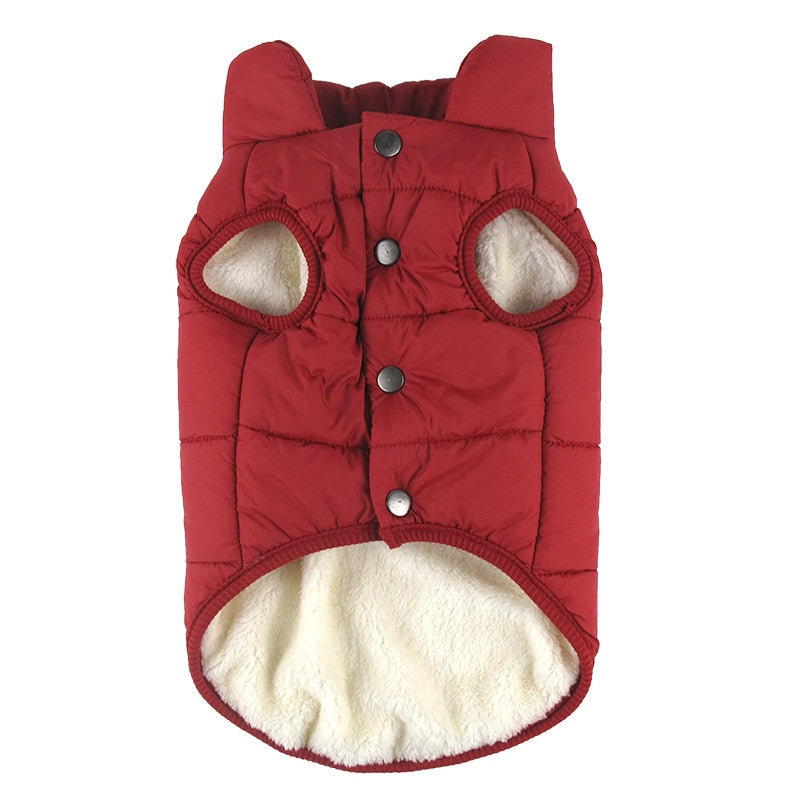 Winter Coat