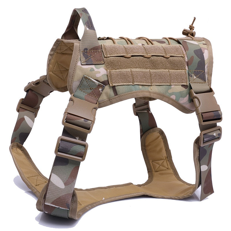 Harness and Leash Set