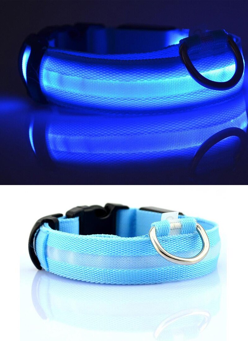 LED Safety Collar