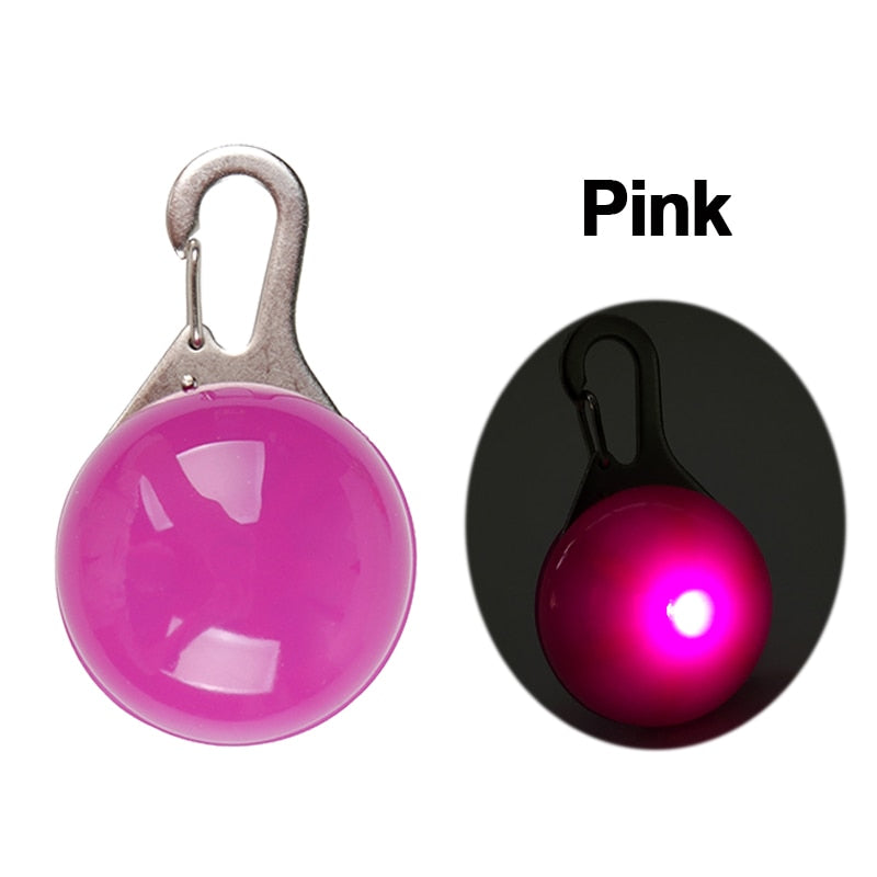 LED Safety Collar