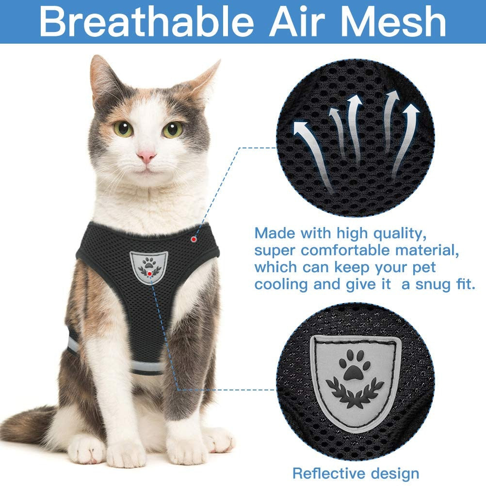 Reflective Mesh Harness