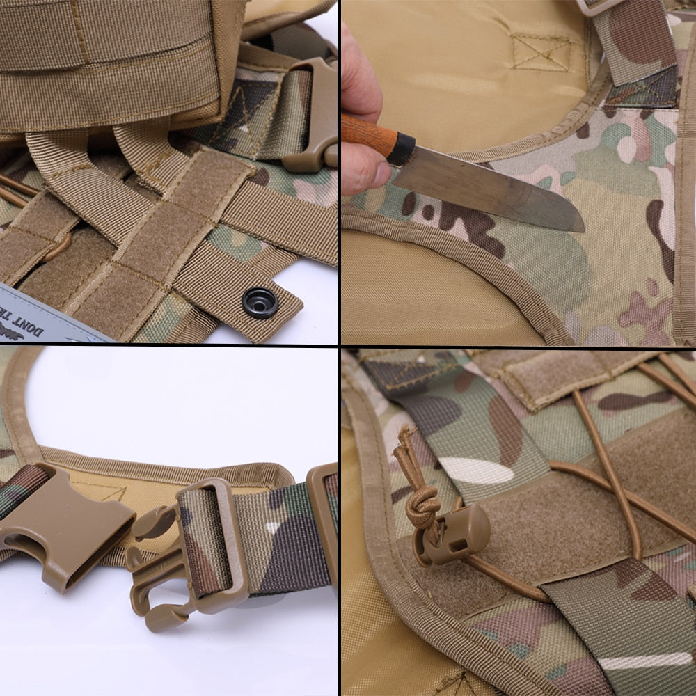 Harness and Leash Set