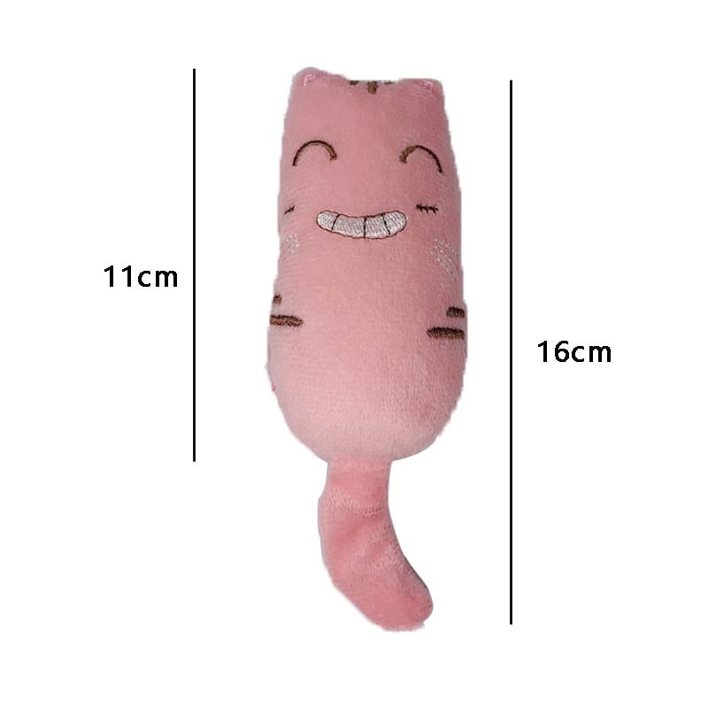 Catnip Plush Toy