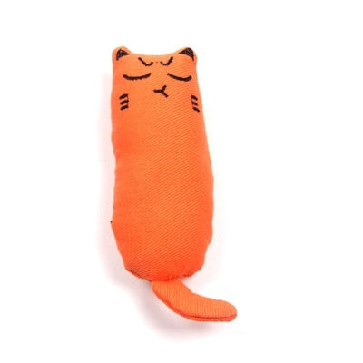 Catnip Plush Toy