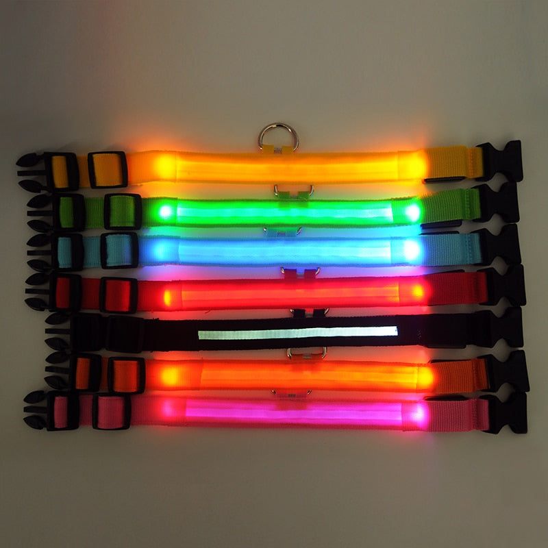 LED Safety Collar