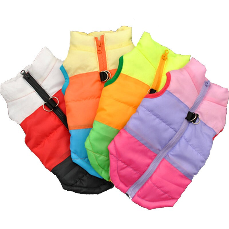 Winter Vest