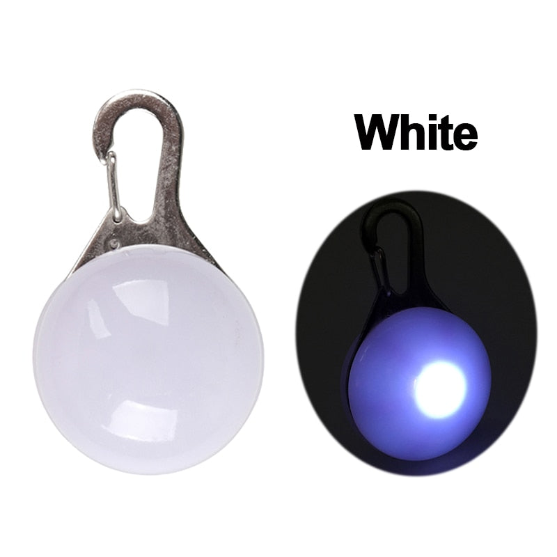 LED Safety Collar
